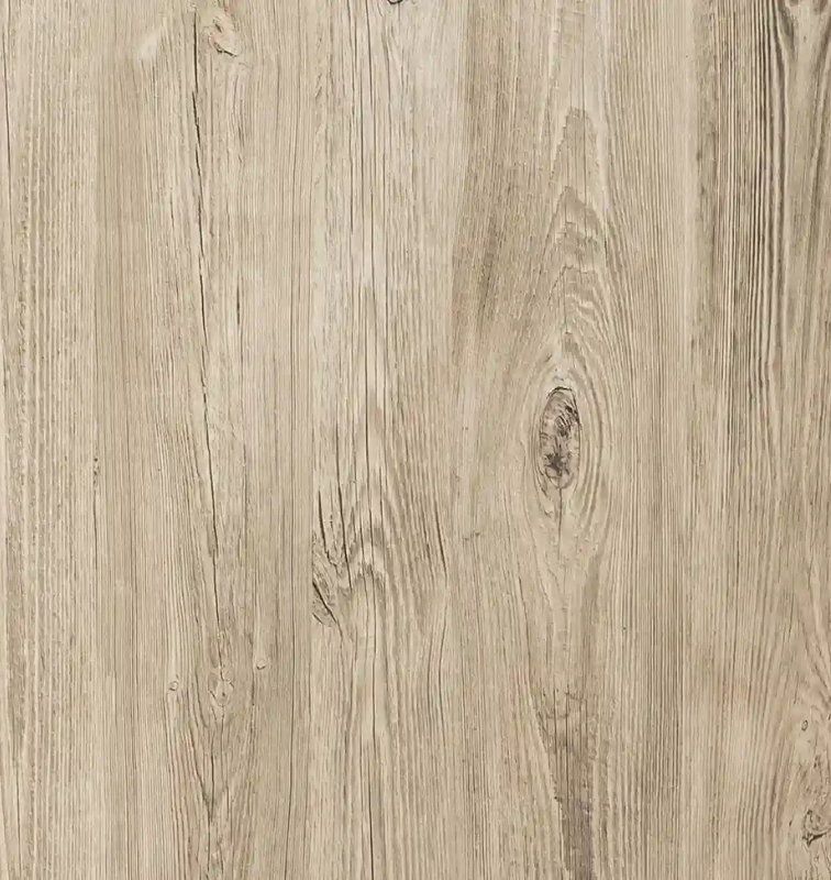 Thumbnail for Slide 5